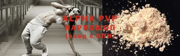 прущие грибы Верея